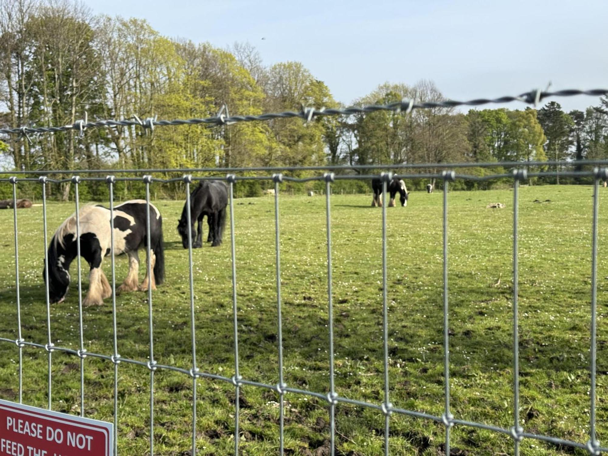 Pony Gate Caravan On Haggerstone Castle West Lawn Berwick Upon Tweed Exterior photo