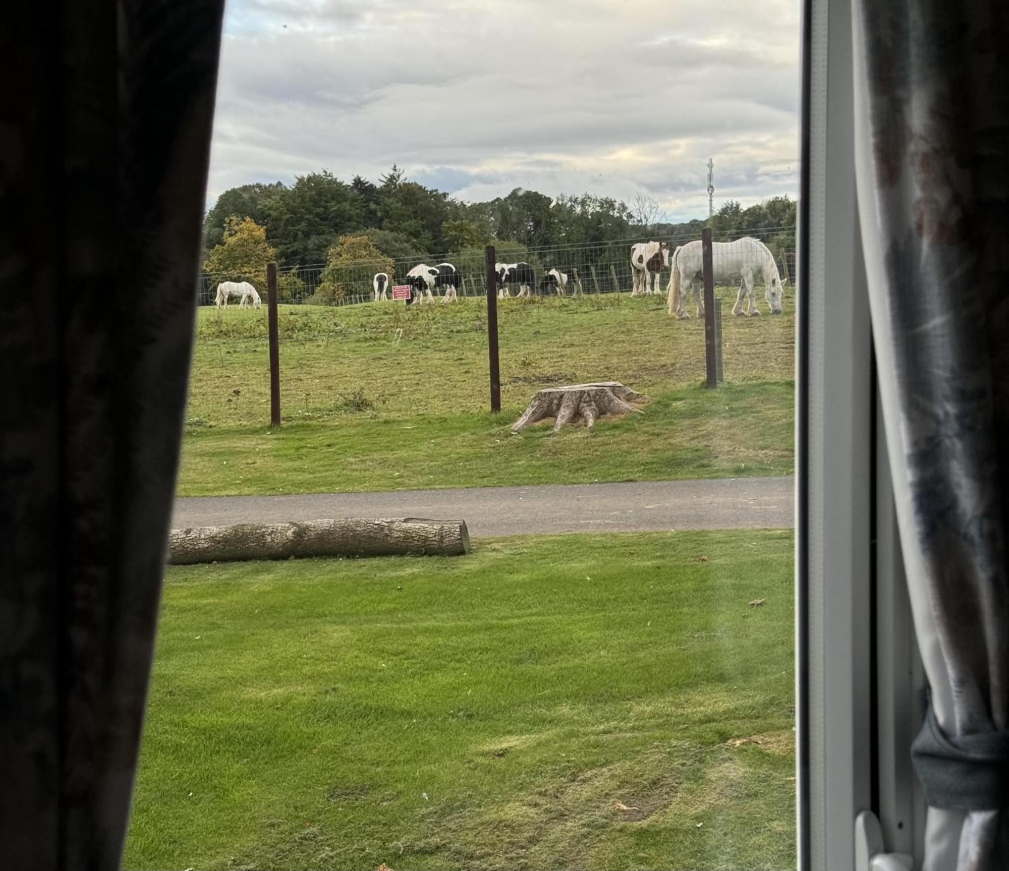 Pony Gate Caravan On Haggerstone Castle West Lawn Berwick Upon Tweed Exterior photo
